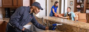 Best Residential Pest Control  in Stewart Manor, NY